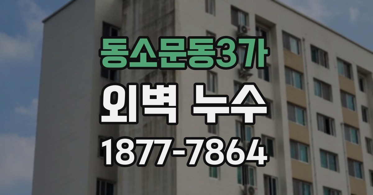 동소문동3가 외벽 누수