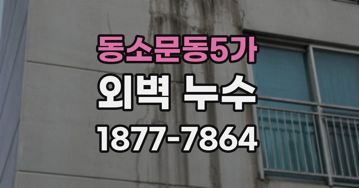 동소문동5가 외벽 누수