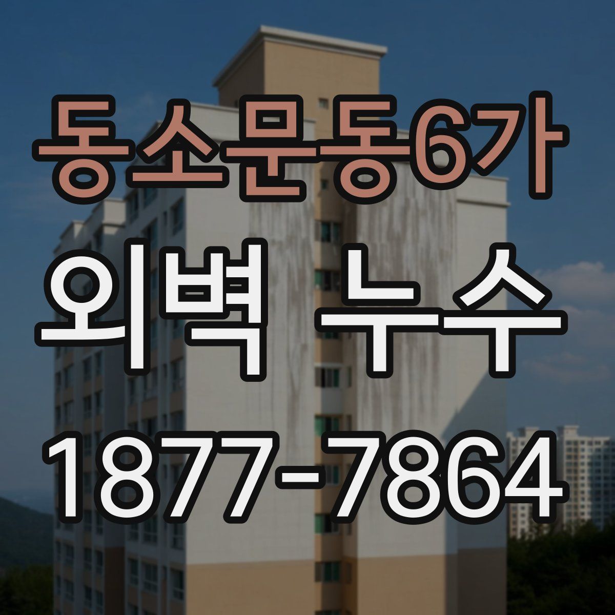 동소문동6가 외벽 누수