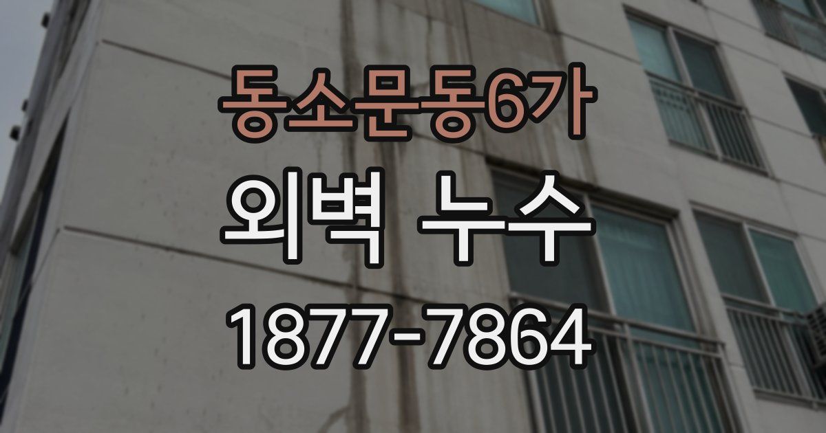동소문동6가 외벽 누수