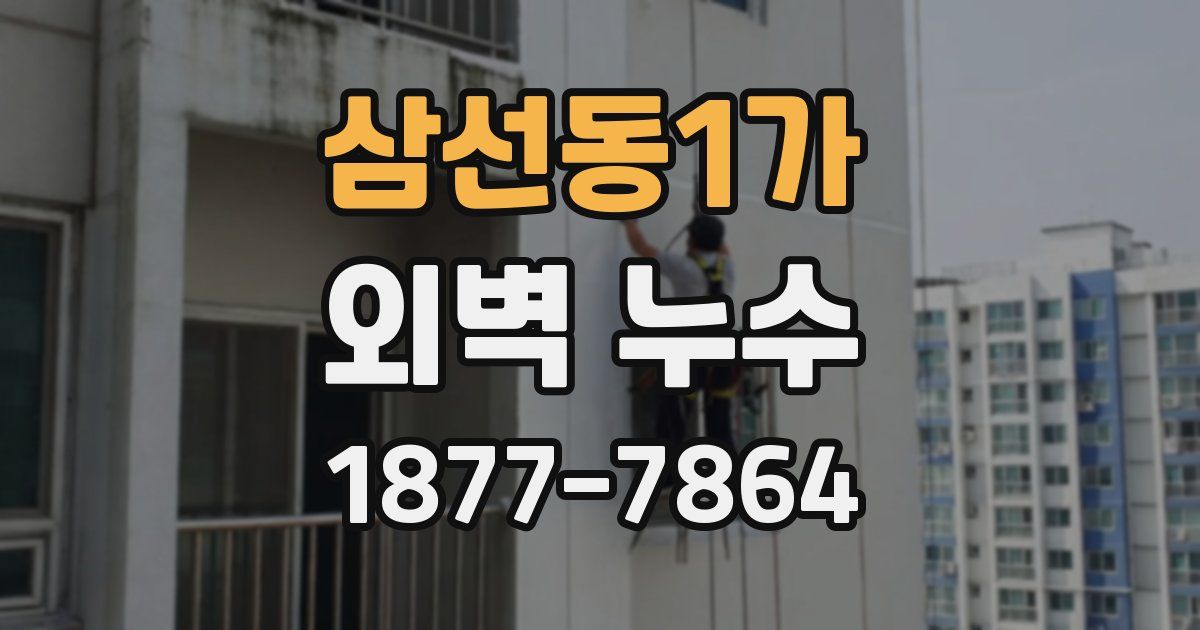 삼선동1가 외벽 누수