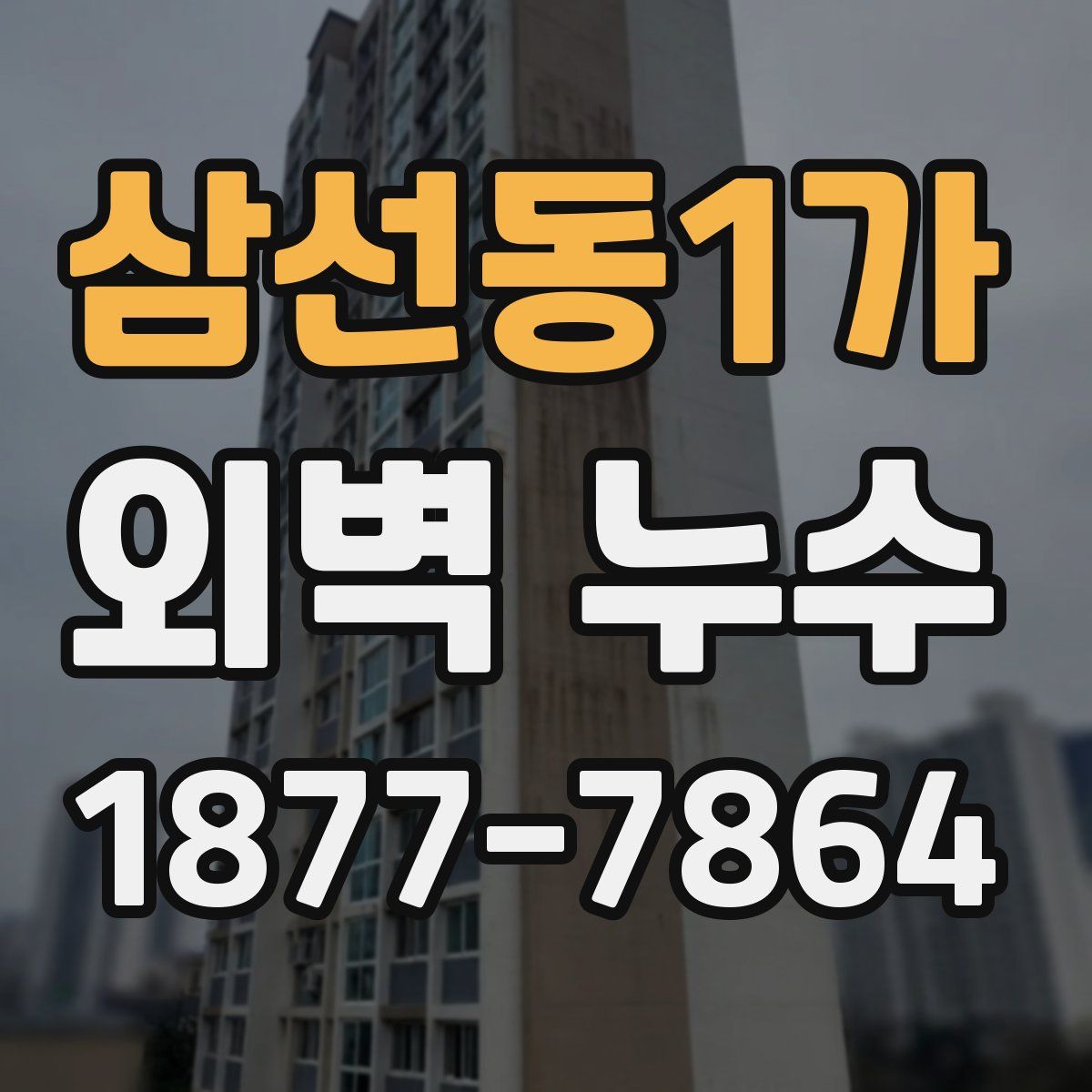 삼선동1가 외벽 누수