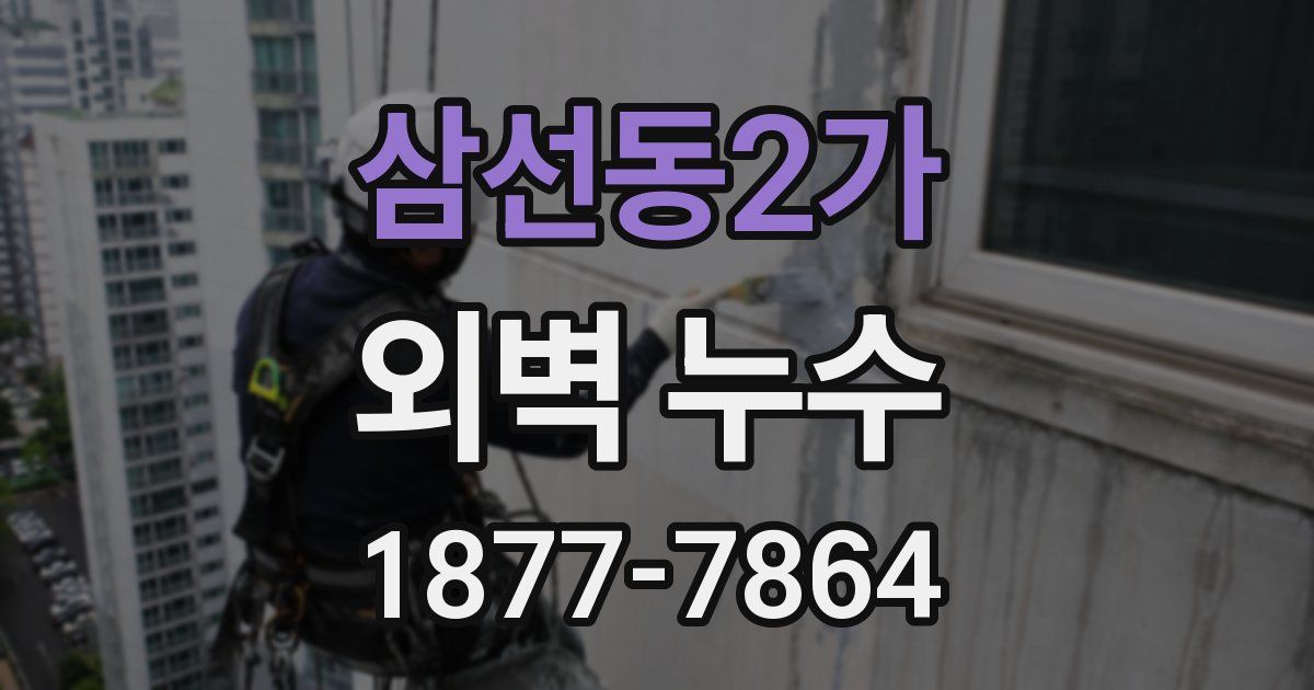 삼선동2가 외벽 누수
