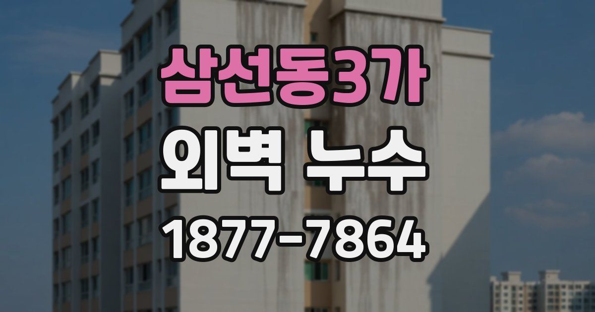 삼선동3가 외벽 누수