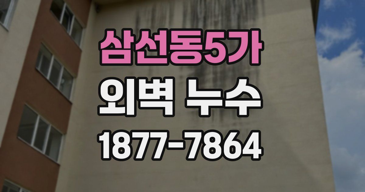 삼선동5가 외벽 누수