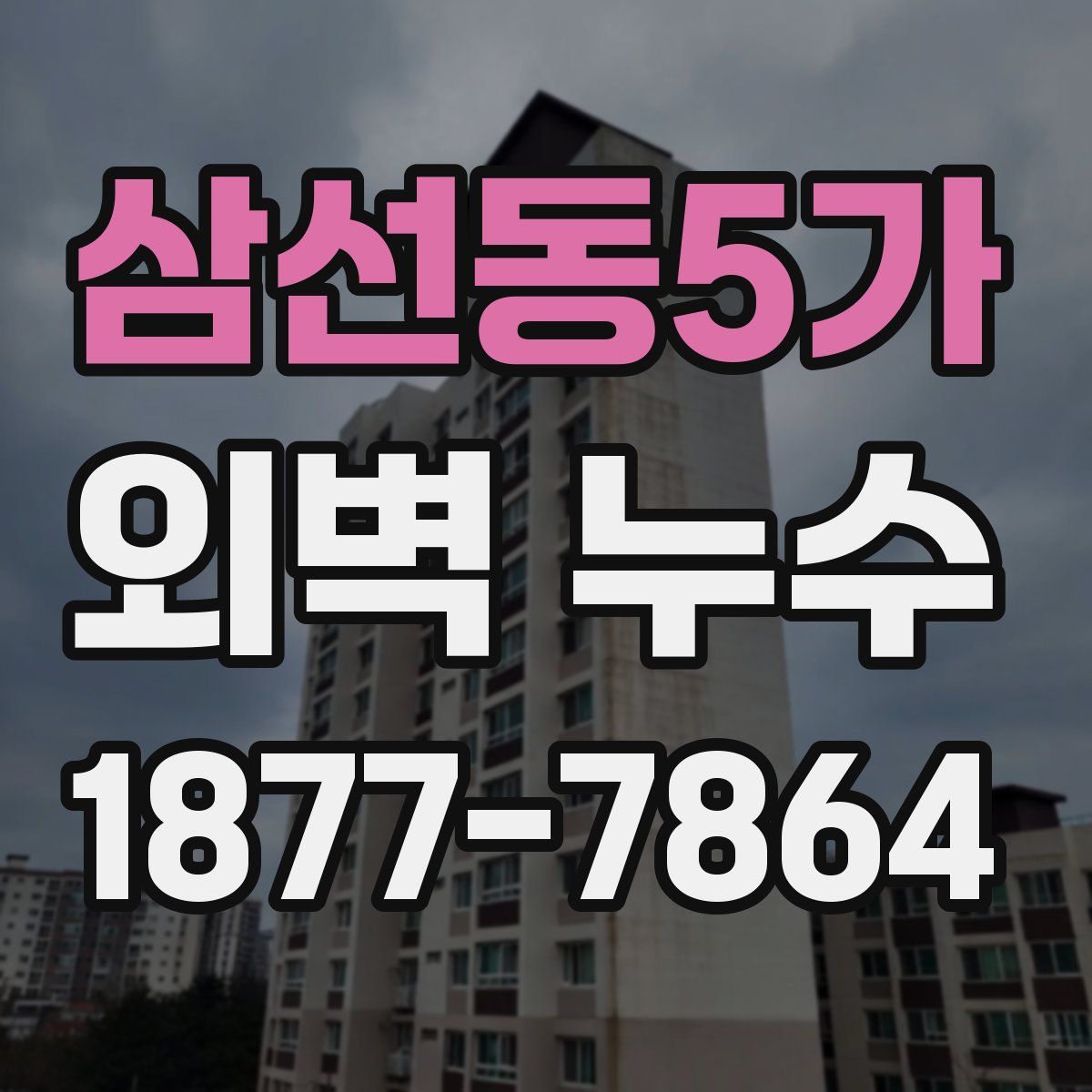 삼선동5가 외벽 누수