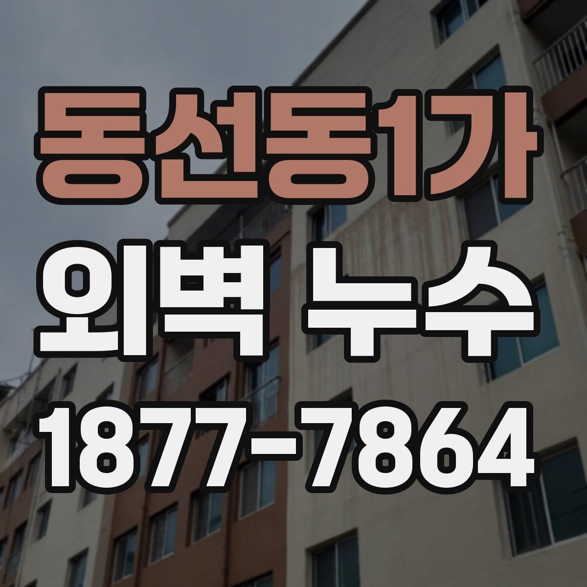 동선동1가 외벽 누수 보수 전 확인하는 하자 흔적