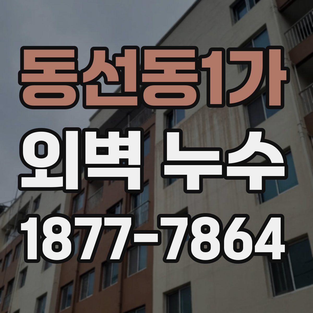 동선동1가 외벽 누수