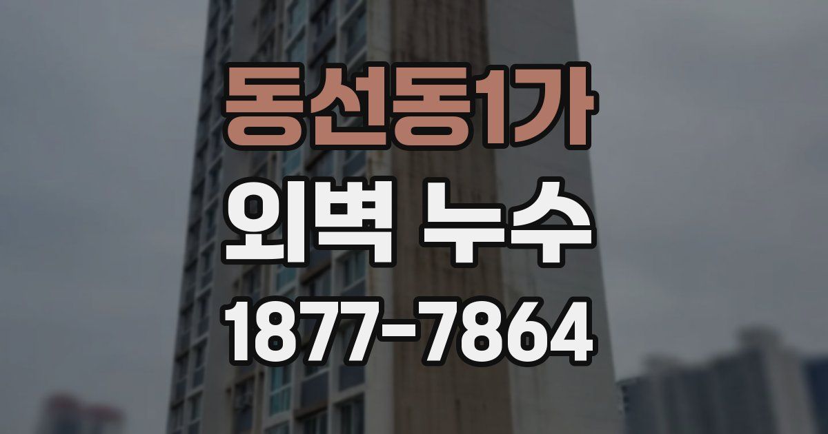 동선동1가 외벽 누수