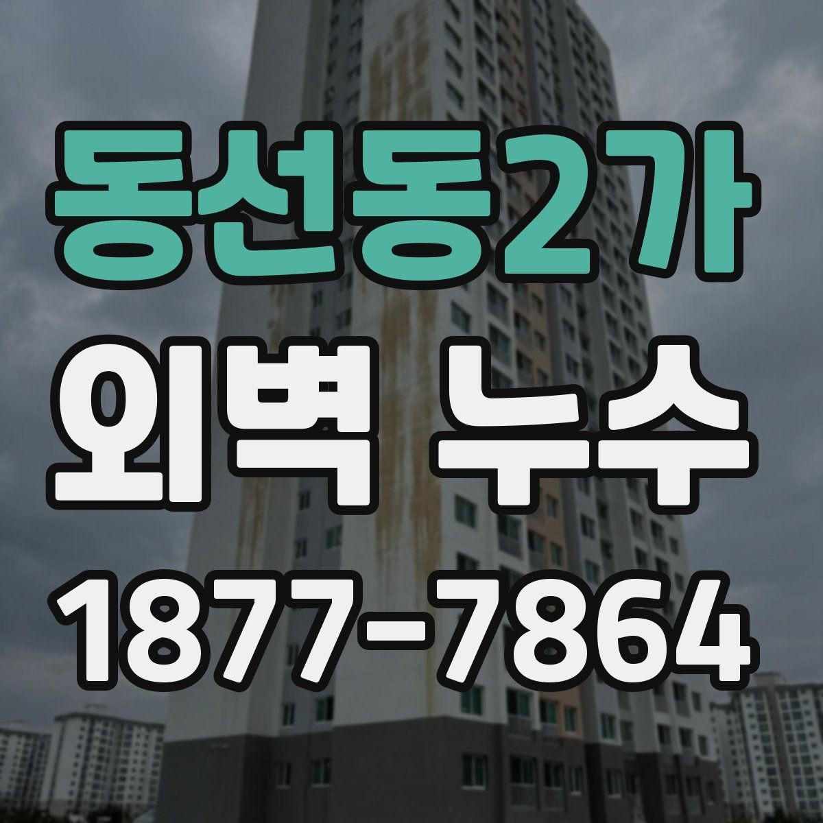 동선동2가 외벽 누수 의심 시 셀프 점검 방법