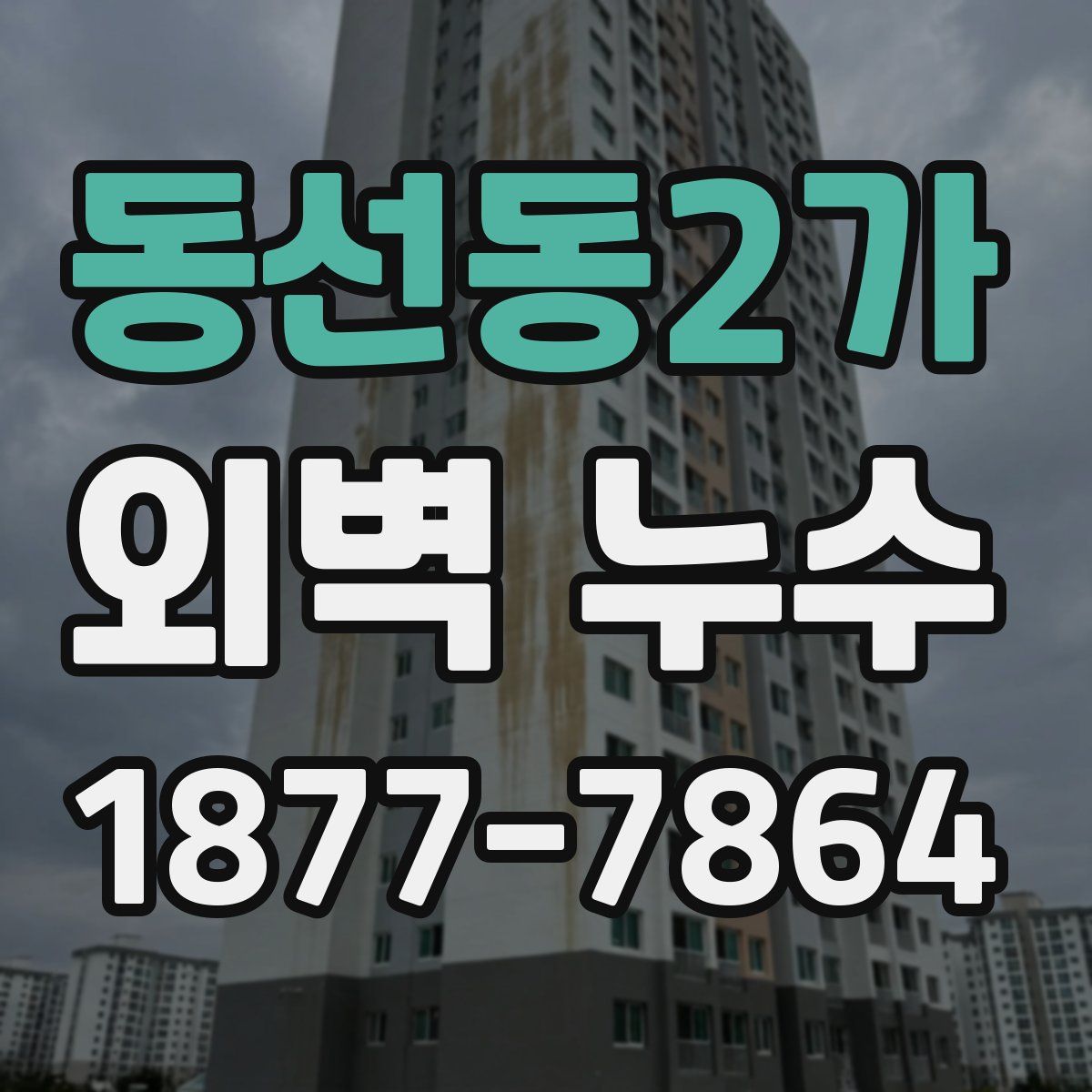 동선동2가 외벽 누수
