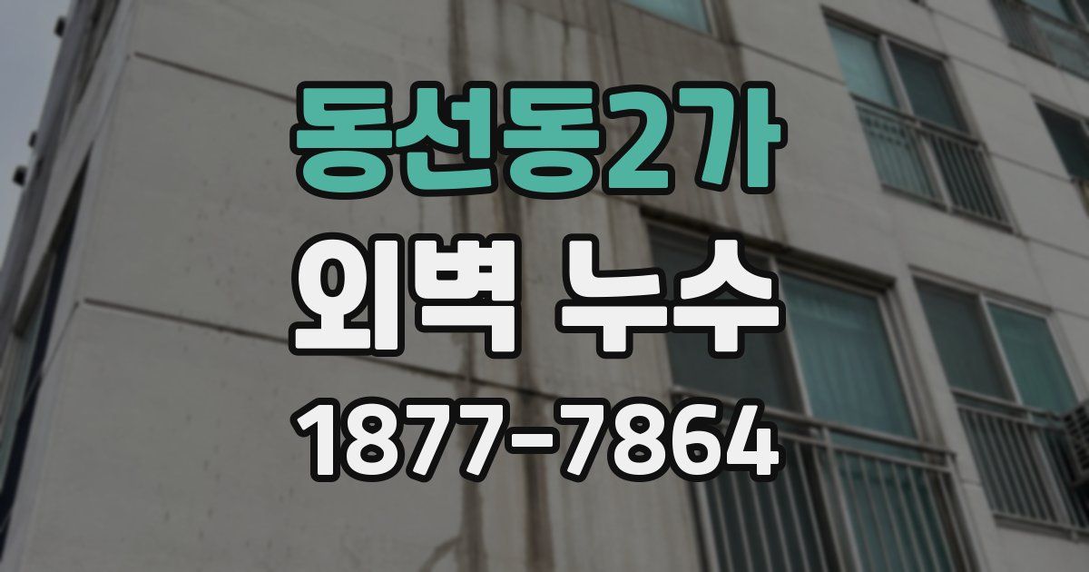 동선동2가 외벽 누수