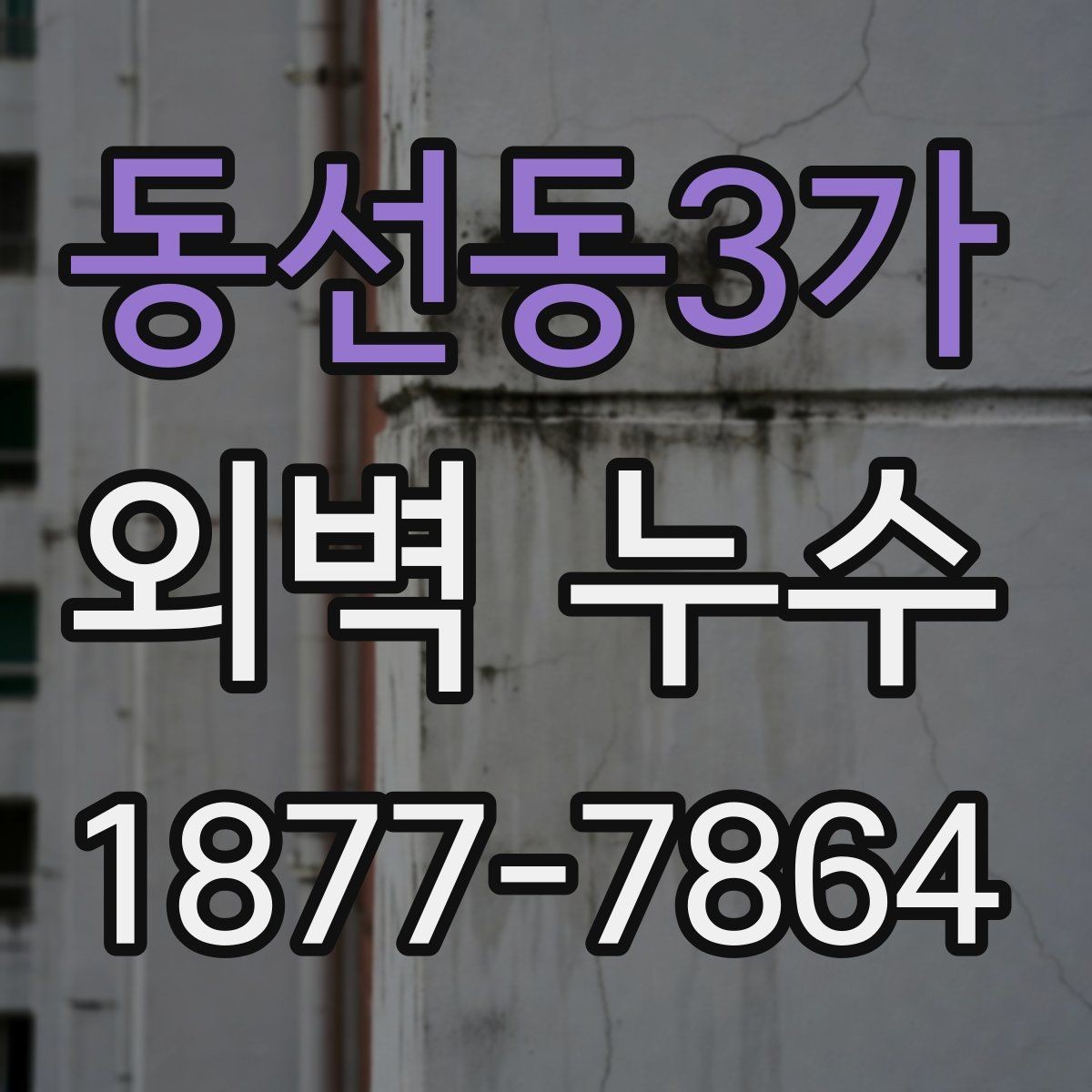 동선동3가 외벽 누수 진단 결과를 해석하는 법