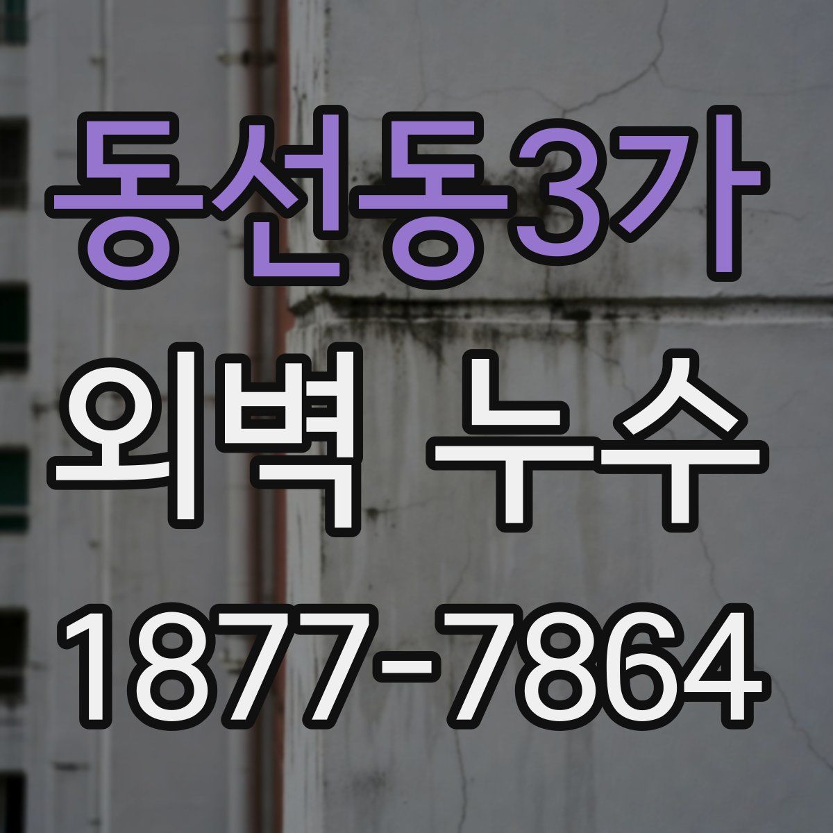 동선동3가 외벽 누수
