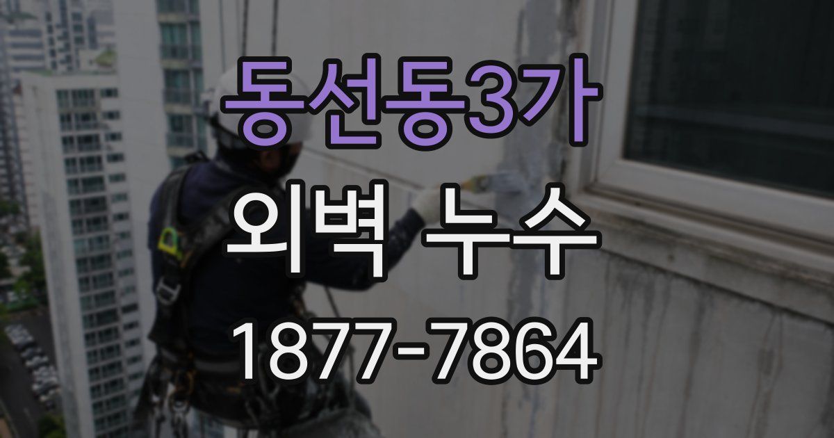 동선동3가 외벽 누수