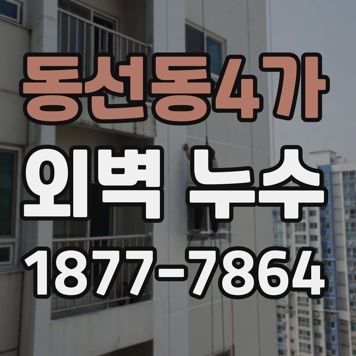 동선동4가 외벽 누수