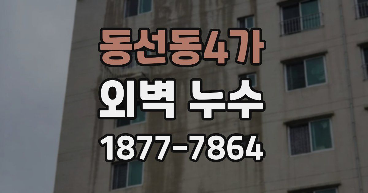 동선동4가 외벽 누수