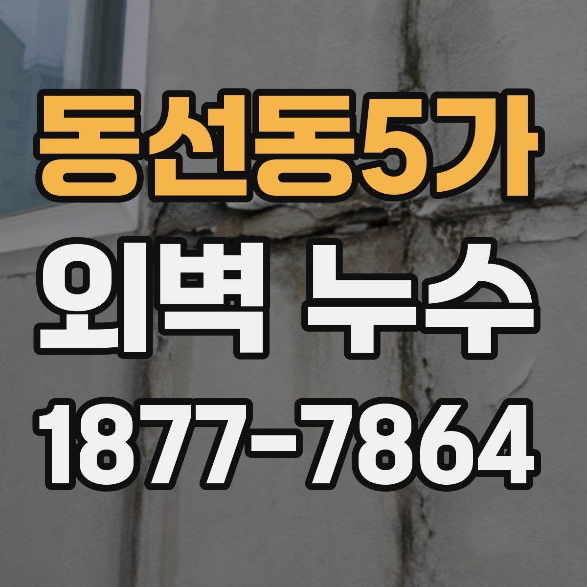 동선동5가 외벽 누수