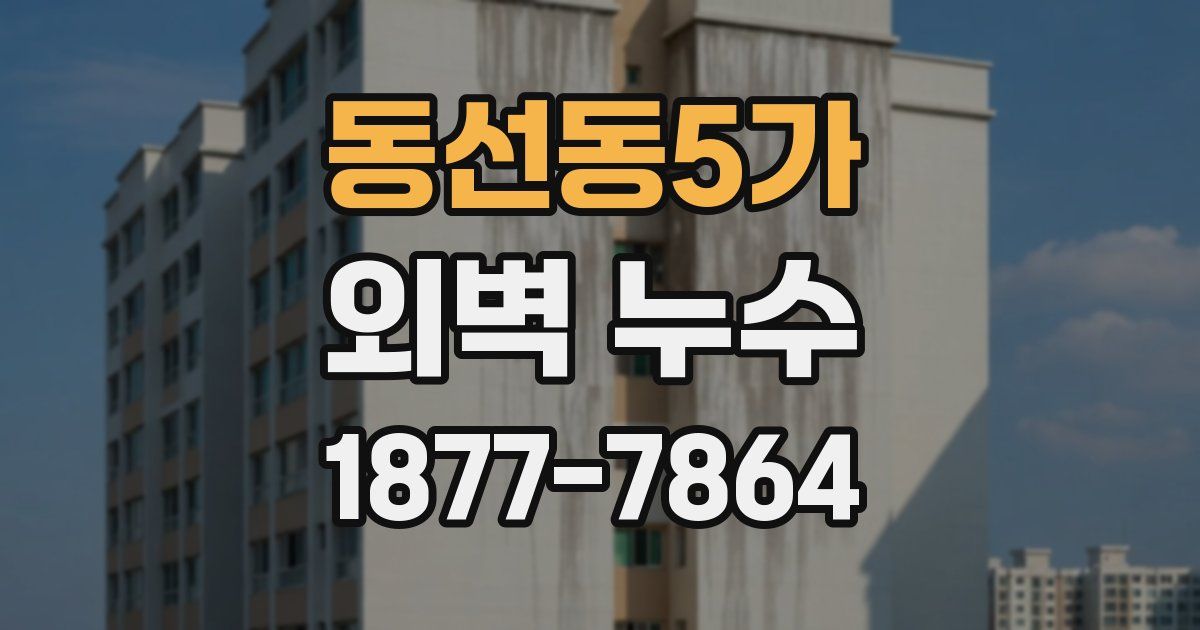 동선동5가 외벽 누수