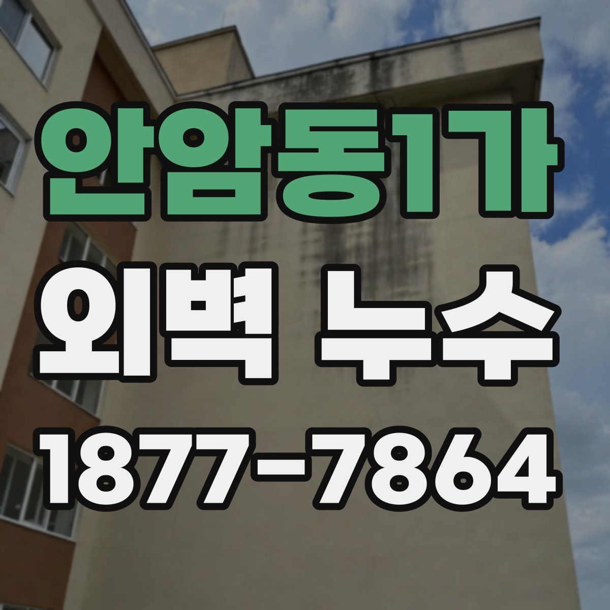 안암동1가 외벽 누수