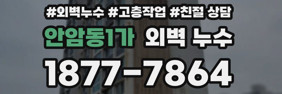 안암동1가 외벽 누수