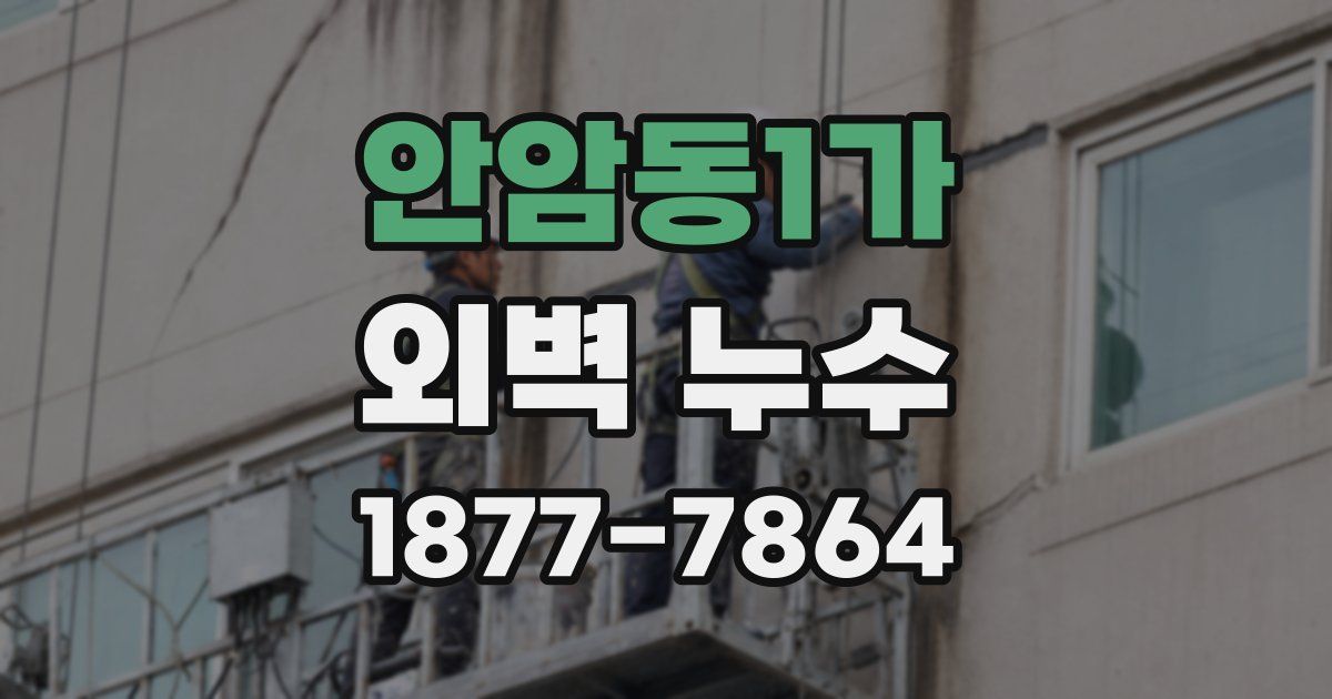 안암동1가 외벽 누수