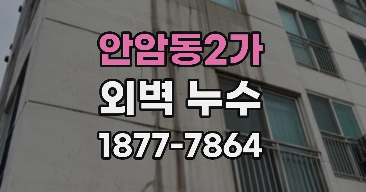 안암동2가 외벽 누수