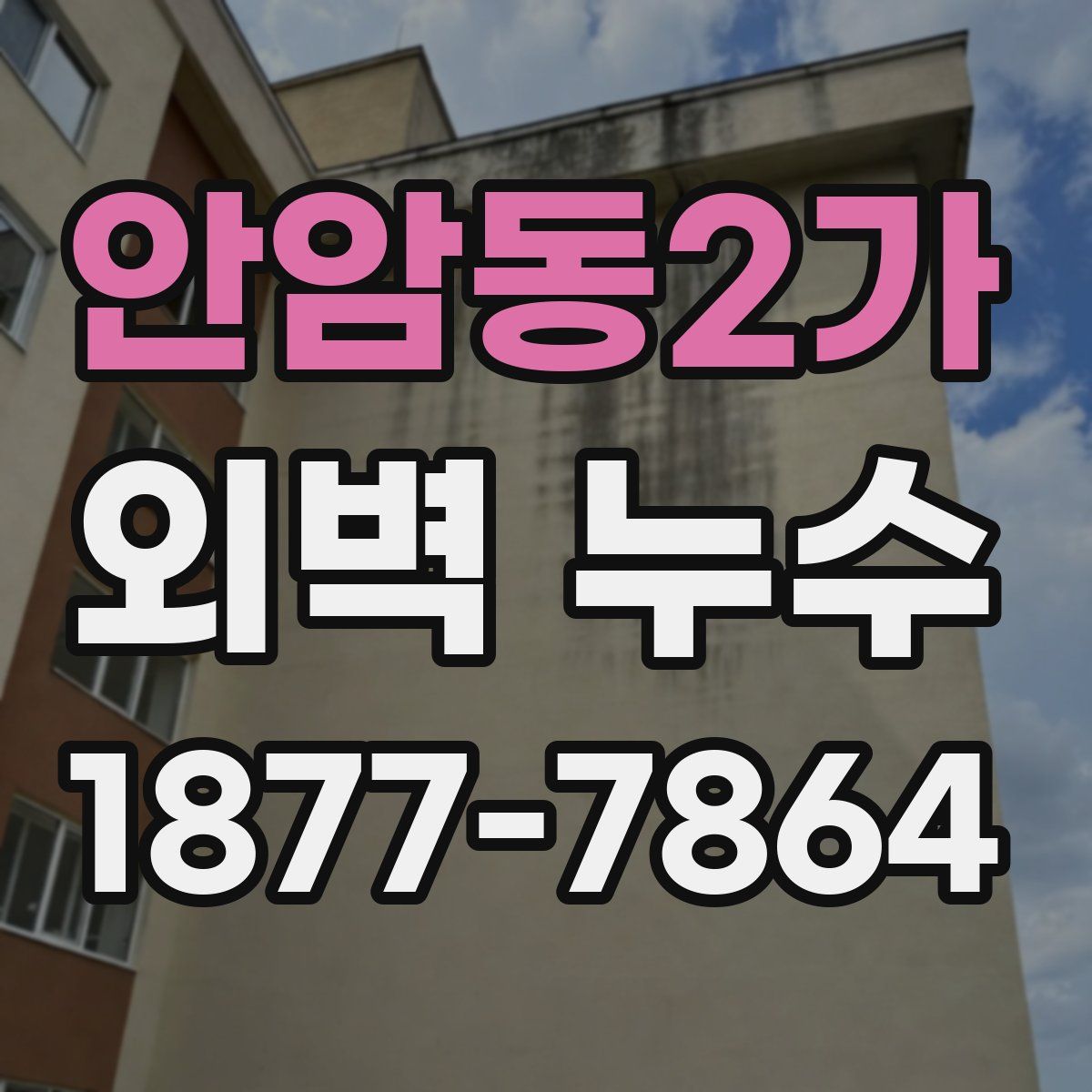 안암동2가 외벽 누수