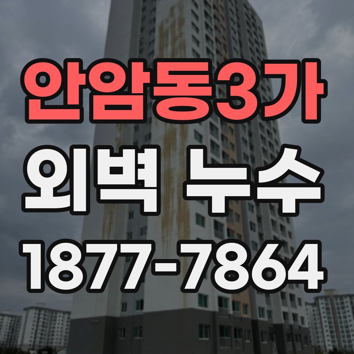 안암동3가 외벽 누수
