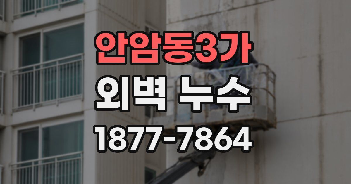 안암동3가 외벽 누수