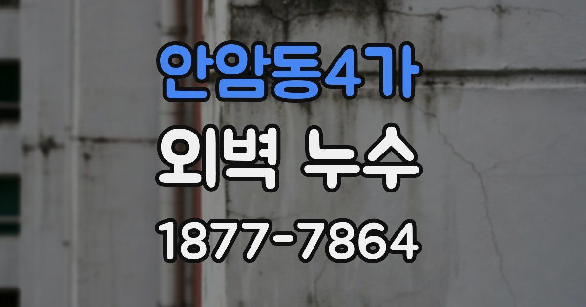 안암동4가 외벽 누수