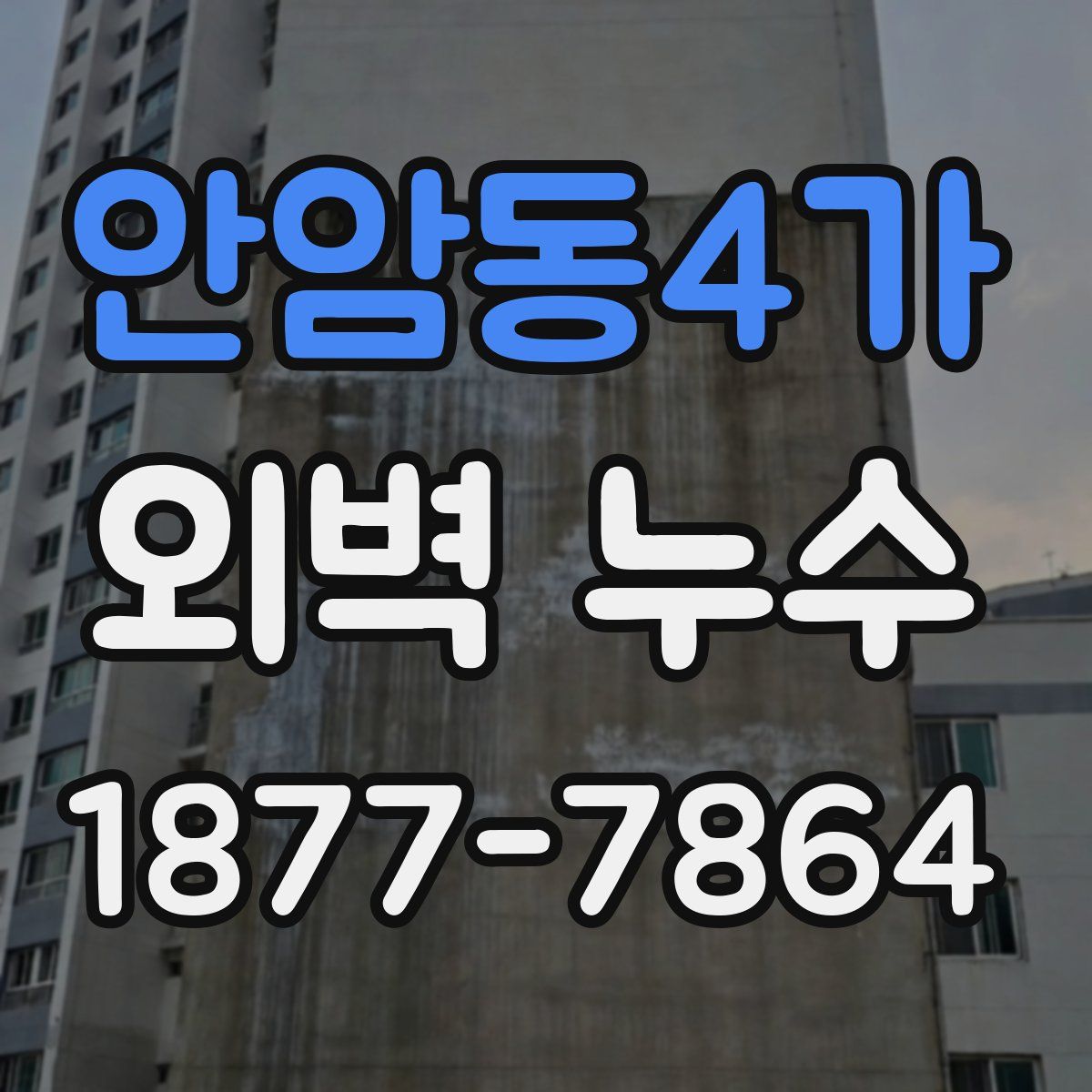 안암동4가 외벽 누수