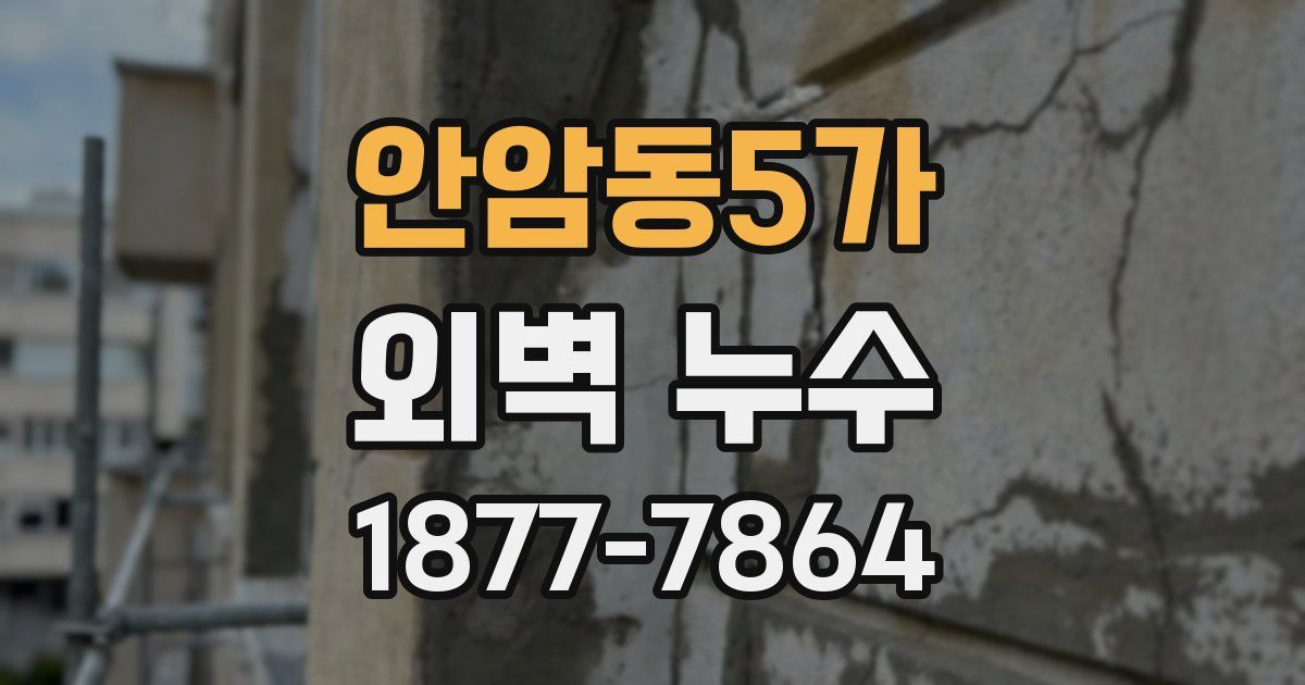안암동5가 외벽 누수