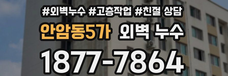 안암동5가 외벽 누수