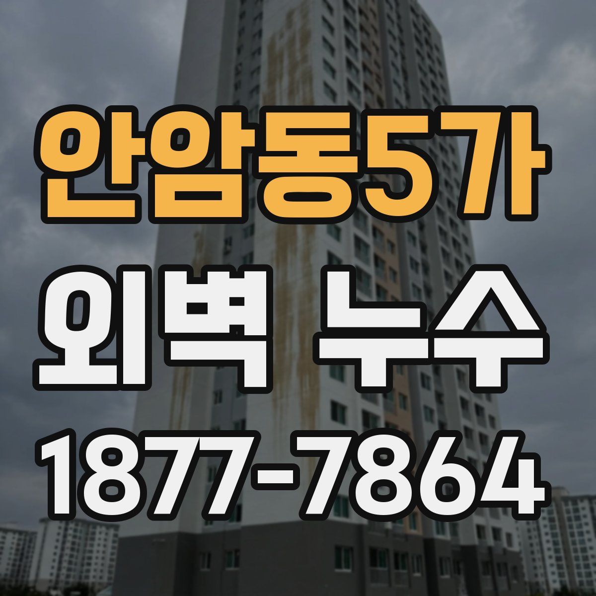 안암동5가 외벽 누수