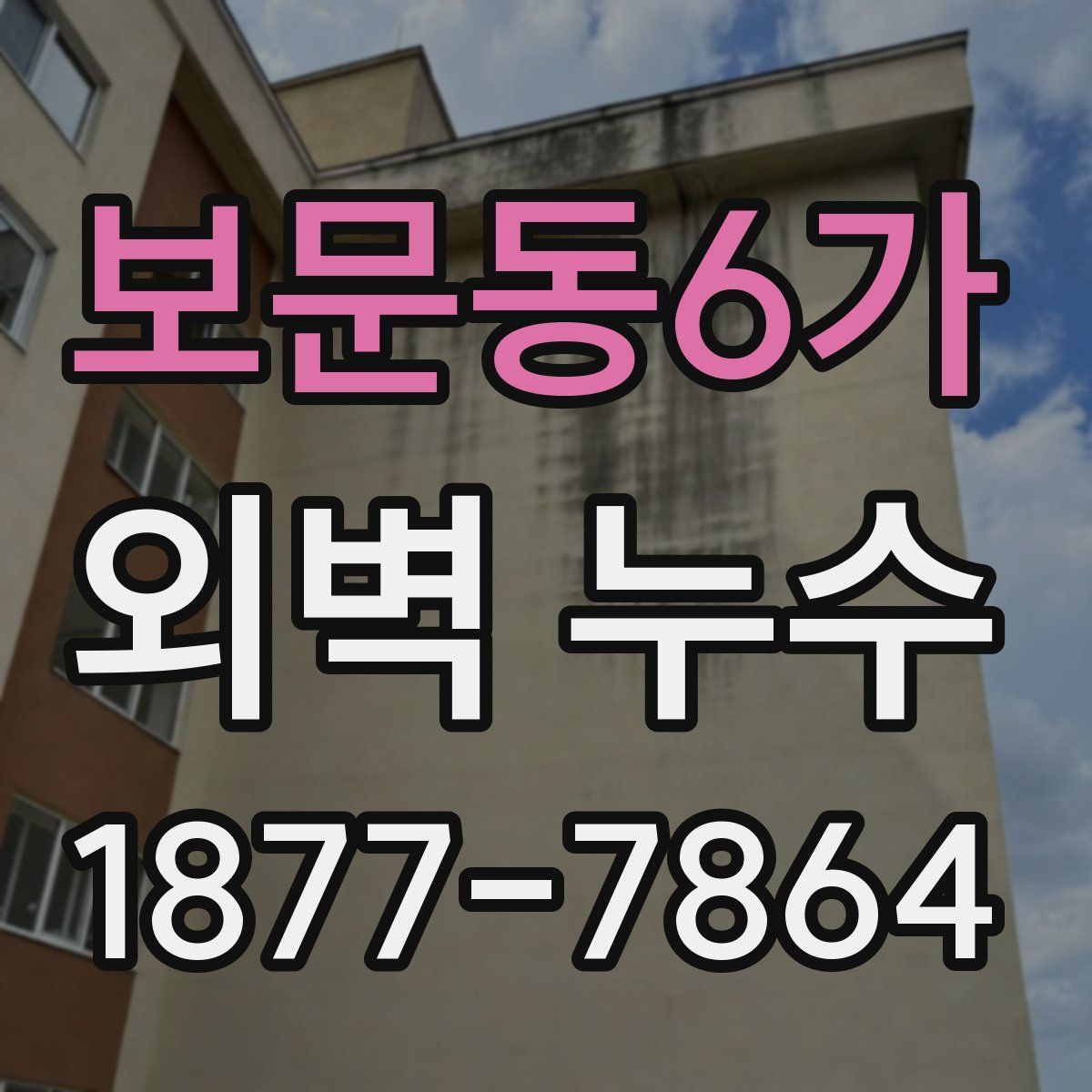 보문동6가 외벽 누수