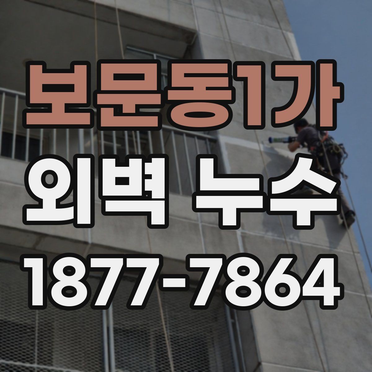 보문동1가 외벽 누수 보수 전 확인하는 하자 흔적