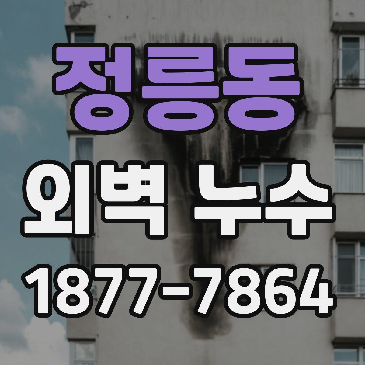 정릉동 외벽 누수