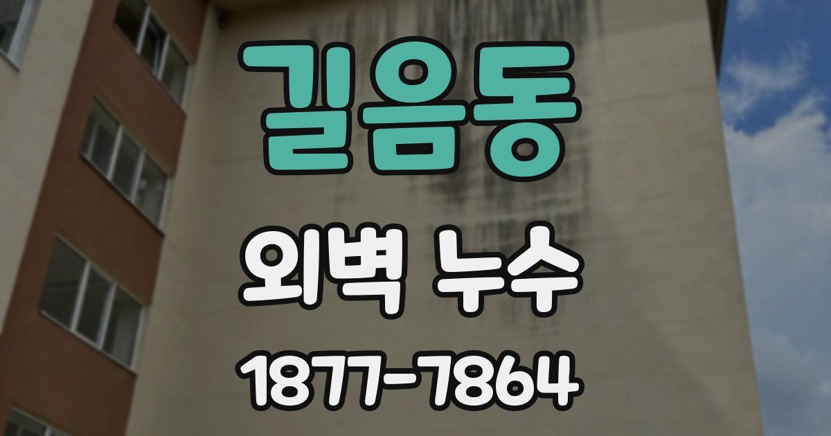 길음동 외벽 누수