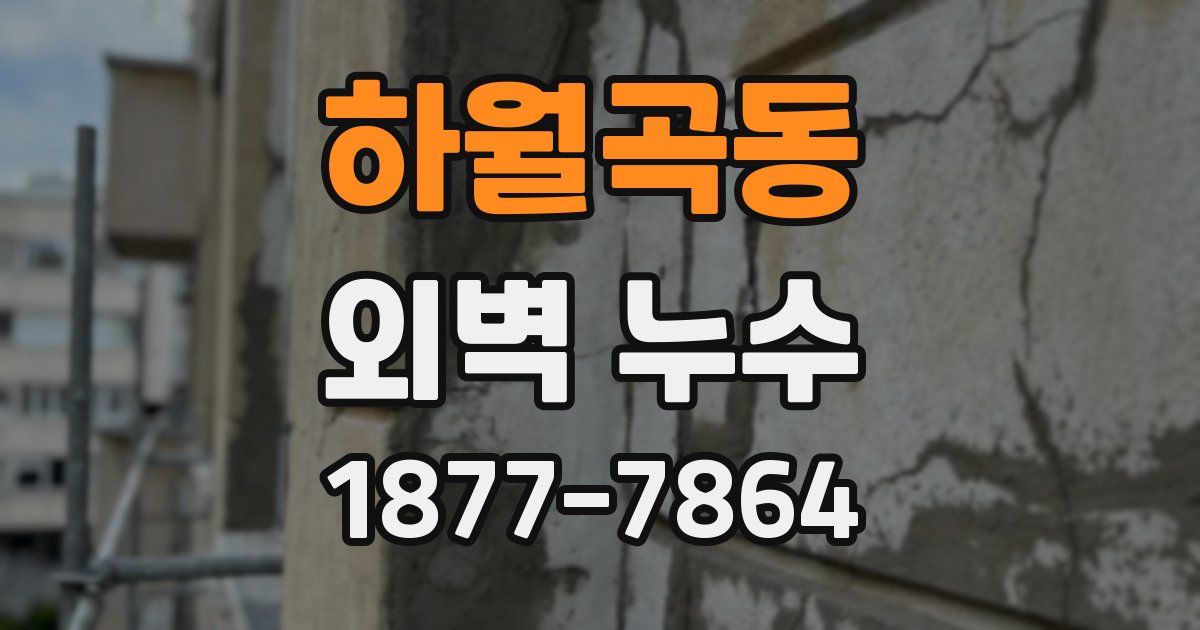 하월곡동 외벽 누수