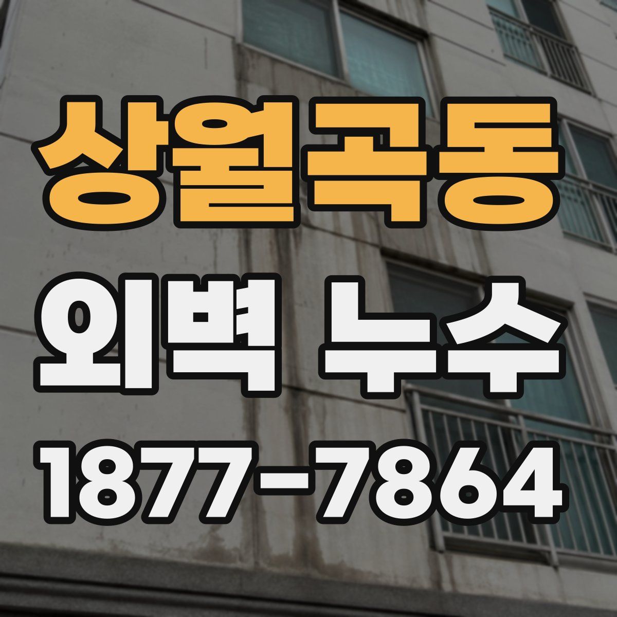 상월곡동 외벽 누수