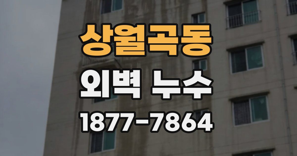 상월곡동 외벽 누수