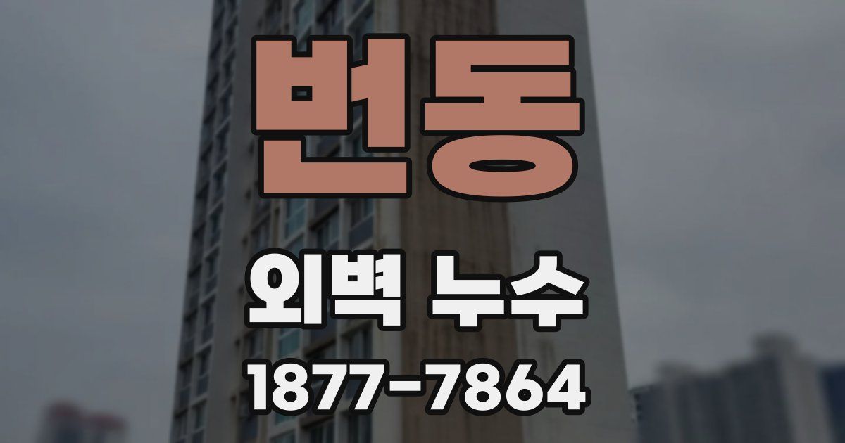 번동 외벽 누수
