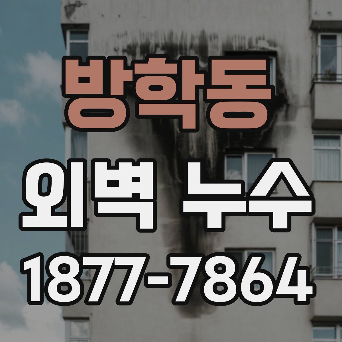 방학동 외벽 누수