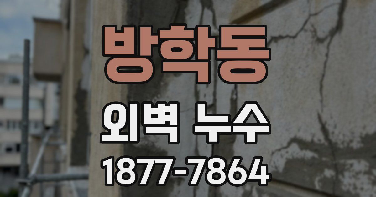 방학동 외벽 누수