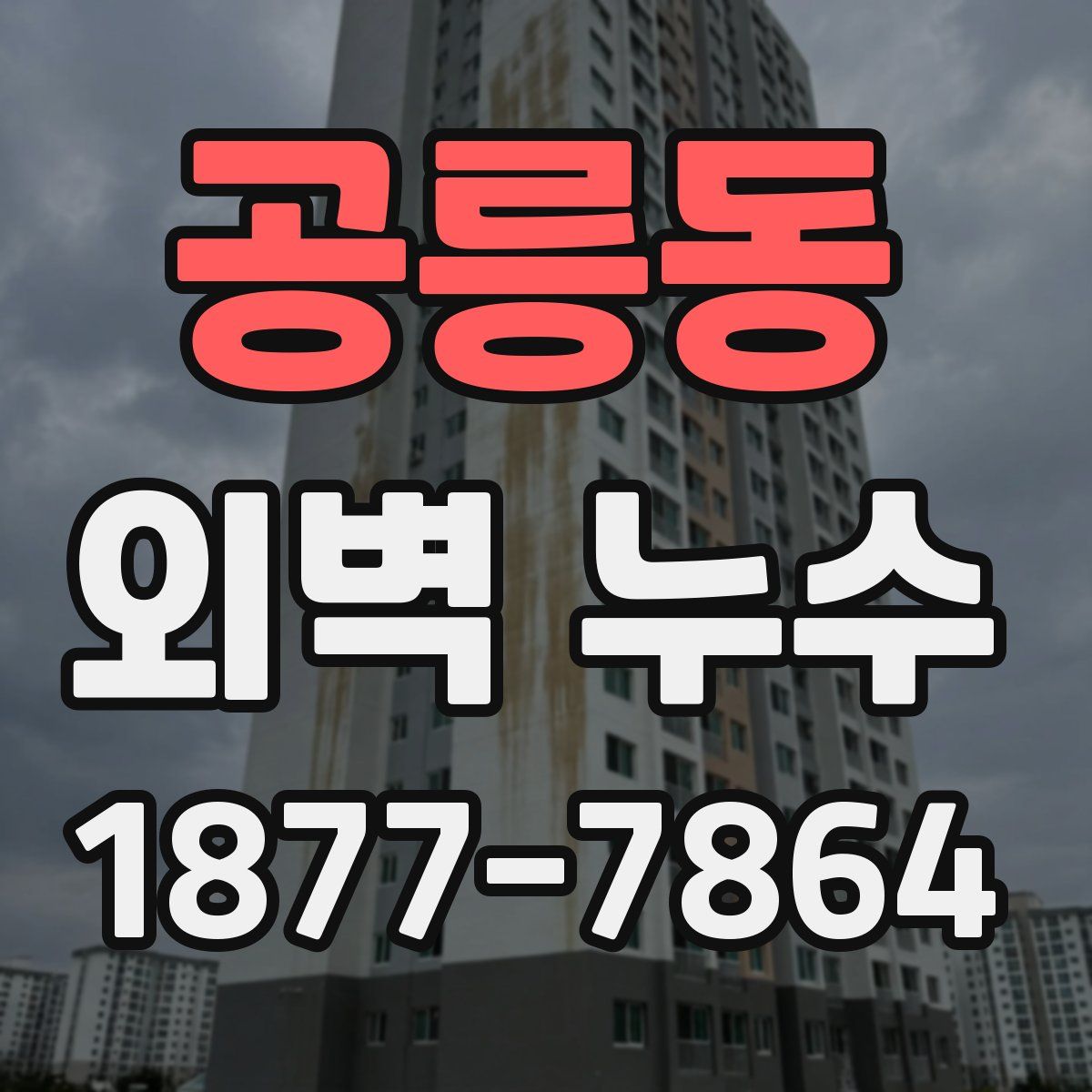 공릉동 외벽 누수