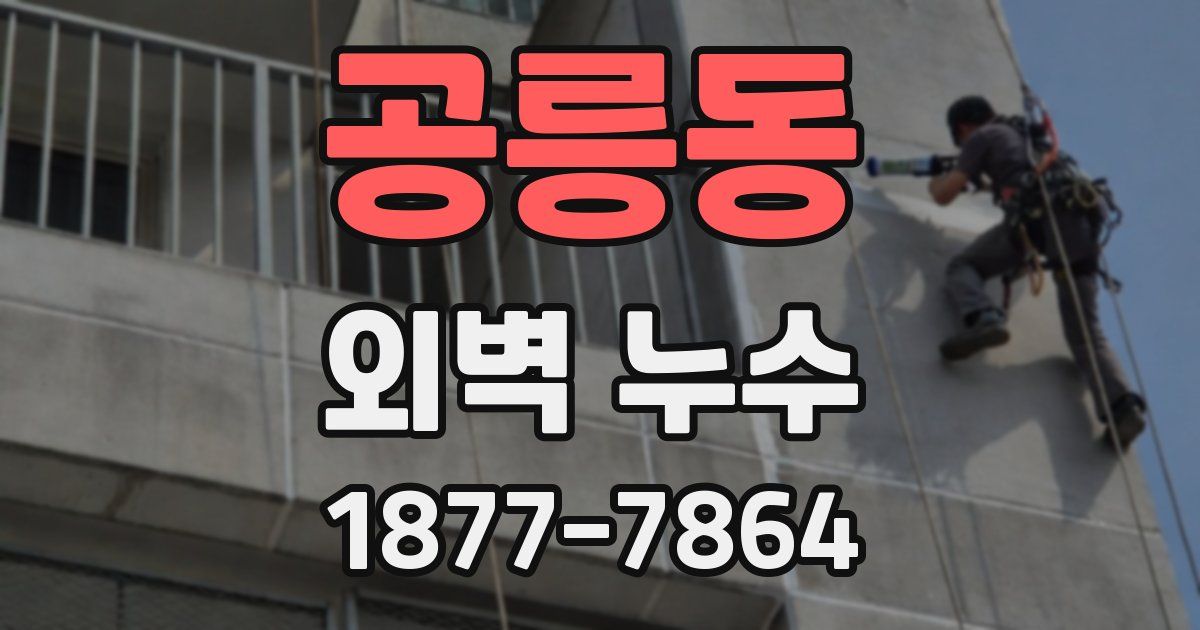 공릉동 외벽 누수