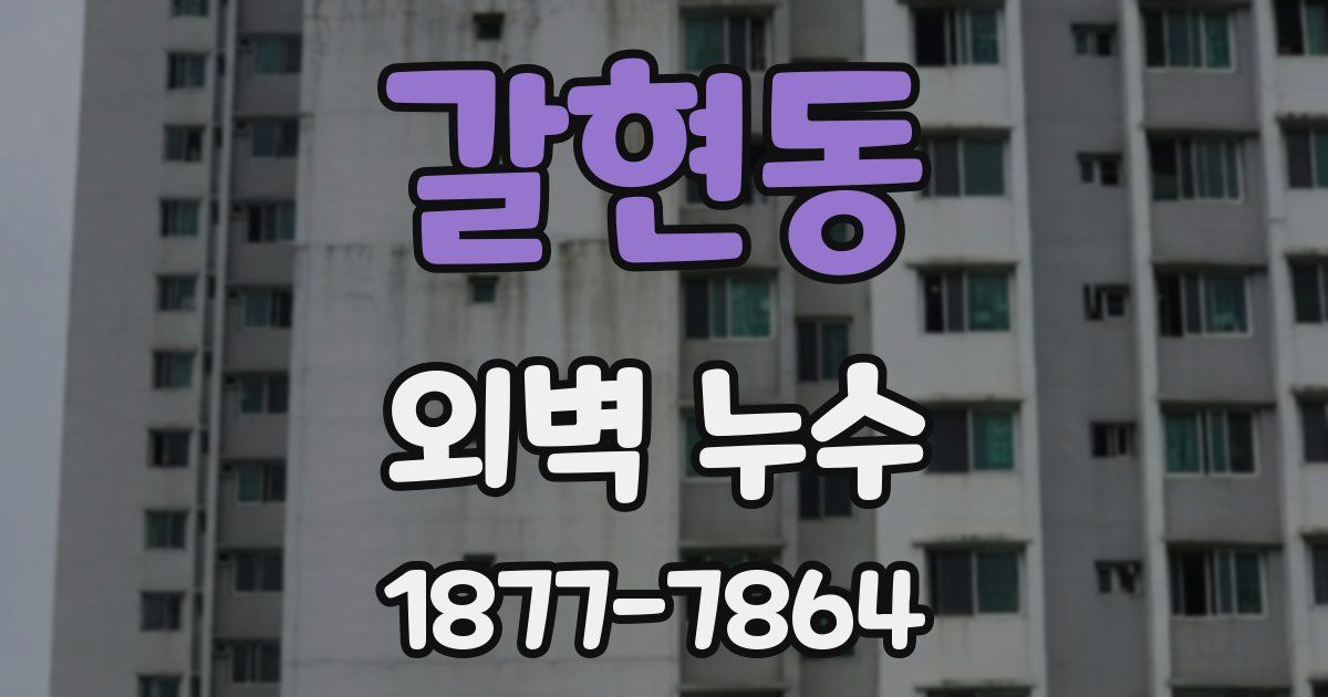 갈현동 외벽 누수
