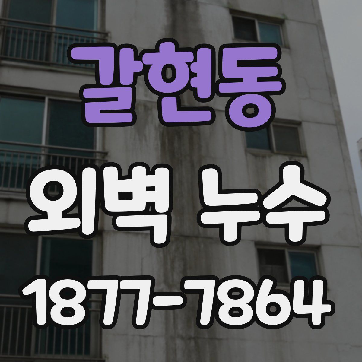 갈현동 외벽 누수