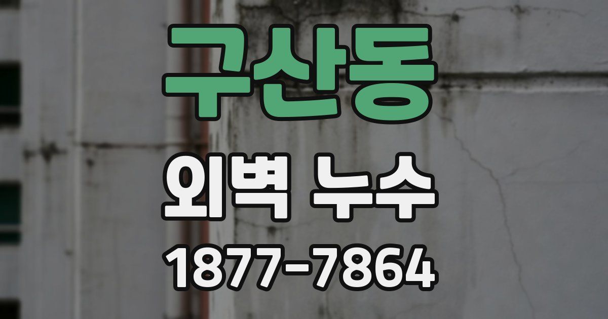 구산동 외벽 누수
